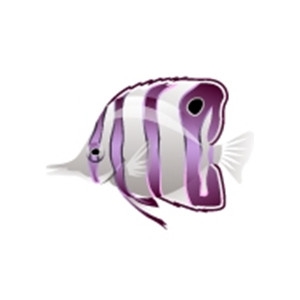 Lilac Butterflyfish